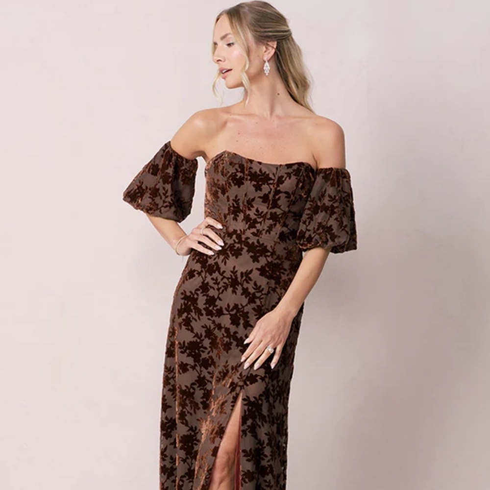 Revelry Mona Floral Burnout Velvet Dress